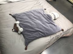 -BEAST野兽派(上海浦东嘉里城店)