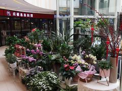 -THE hood开新里(御桥路店)