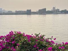 -洲头咀公园