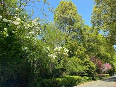 -浙江西子宾馆·瑶园咖啡厅