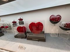 -ROSEONLY诺誓(广州K11店)