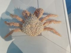 -中国湿地博物馆