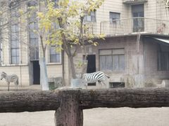 -成都动物园