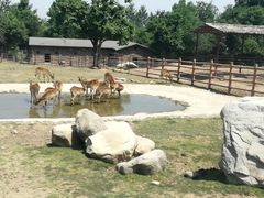 -西安秦岭野生动物园