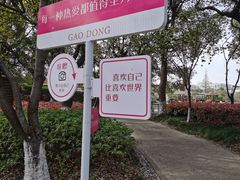 -高东镇樱花园