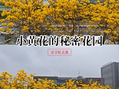 -文华公园(禅城区)