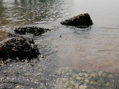 -深圳湾公园(南山区)