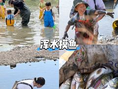 -上海山野camping·户外天幕烧烤·团建拓展营地