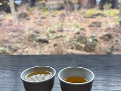 -雪绿茶博物馆