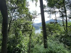 -黔灵山公园