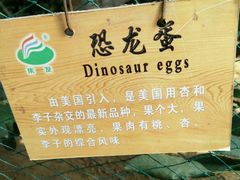 android_upload_pic-北戴河集发农业梦想王国