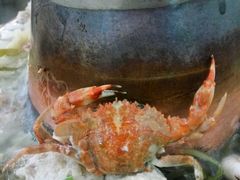 -山海关清和浑锅店