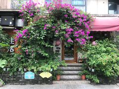 -泡桐树街