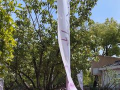 -嘉定紫藤园
