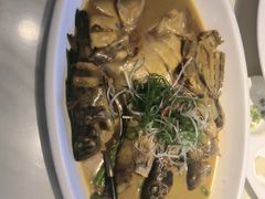 -子霖南山鲜虾面(南山总店)