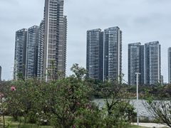 -广东花都湖国家湿地公园