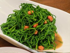 -靖远尕六美味羊羔肉