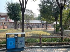 -石家庄市动物园