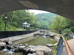 -白水寺森林公园