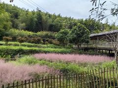 -宁波浙东大竹海景区