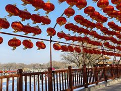 -北陵公园