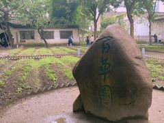 -绍兴鲁迅故里·沈园景区