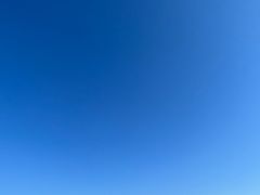 -北京园博大酒店