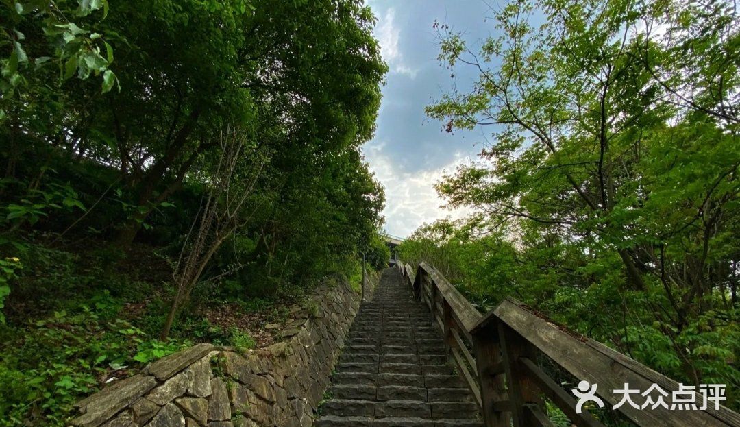 虎头岩山地公园位于重庆市渝中区虎头岩总部城旁