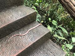 -赤水丹霞旅游区·大瀑布