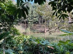 -中国科学院西双版纳热带植物园