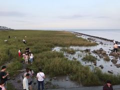 -南汇嘴观海公园