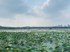 -云龙湖旅游景区