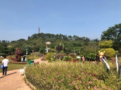 -河源客天下-温泉小镇