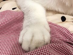 -围裙妈妈(临平店)