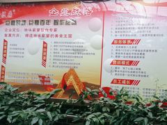 -老山东·山东菜(鲁菜名店)