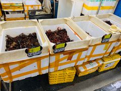 -岳各庄批发市场(西四环中路店)