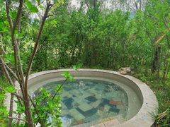 -灵山莲花公园-温泉度假区