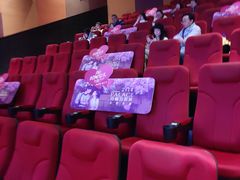 放映厅-百丽宫影城(CGS激光苏宁广场店)