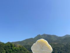 -白帝城·瞿塘峡景区