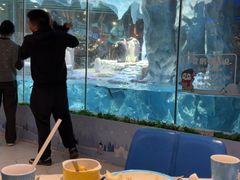 -帝企鹅自助餐厅•儿童岛•真企鹅(长隆企鹅酒店)