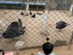 -草根堂农场