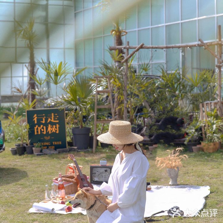 合肥周边自驾｜春日野餐宝藏地🥓天然农场🌿