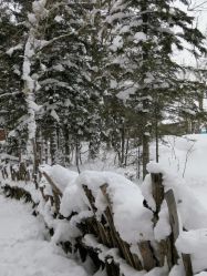 -大秃顶子山
