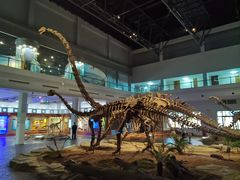 -自贡恐龙博物馆