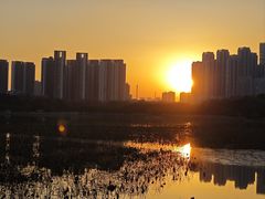 -月湖风景区