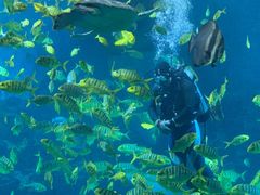 -太平洋海底世界