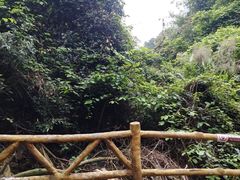 -南丹山森林王国