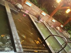 -常州环球恐龙城维景国际大酒店