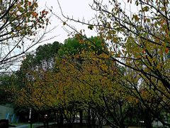 -苏州河梦清园环保主题公园