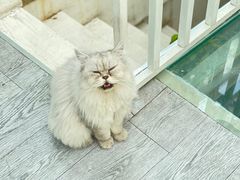 -小时光咖啡馆(北锣鼓巷店)